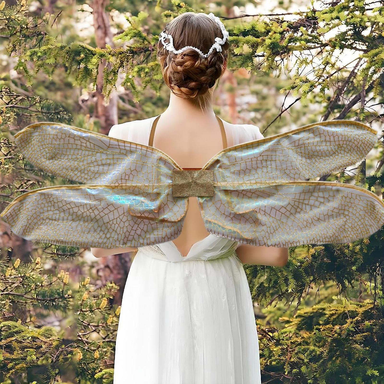 Fairy Dragonfly Wings for Kids - Anime Cosplay Photo ulasan dan harga